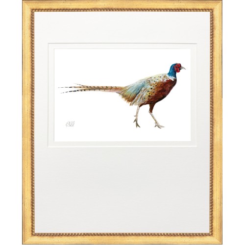 KS- PHEASANT 1